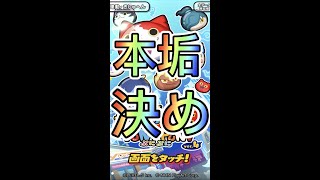 サブ垢、本垢、どっちの方がいい？みんなの意見聞かせ！！！〔ぷにぷに〕