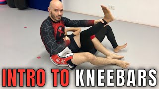 Kneebars from multiple positions