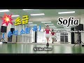 Sofia Line dance (Beginner) - DEMO 