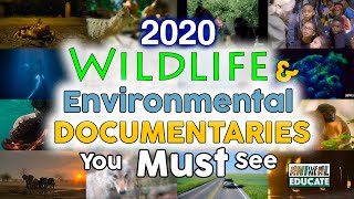 2020 Wildlife & Environmental Documentaries you MUST SEE!