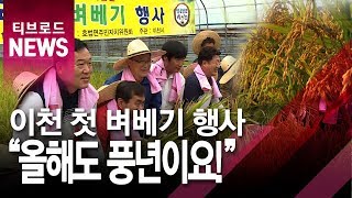 [기남]이천시 올해 첫 벼베기…국내 토종품종 '해들' 수확