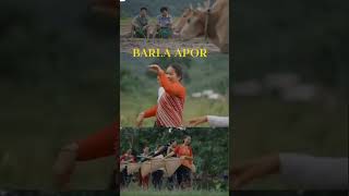 Barla apor karbi video song|| Malin Tissopi General son Hanse || Joy ram Bey || 2024