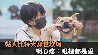 飼主因病過世遺留牠！超黏人「比特犬」無家可歸　網心疼：眼裡都是愛－民視新聞