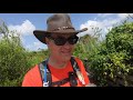 everglades national park anhinga and gumbo limbo trails