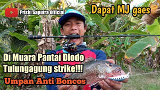 Mancing Di Muara Pantai DLODO TULUNGAGUNG - UMPAN ANTI BONCOS Strike!!! #02