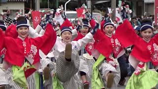 ほにや②2022 12 17水島よさこい