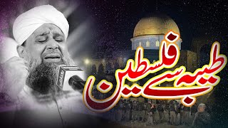 Taiba Sa Palestin | Qibla E Awal | Owais Raza Qadri | Meem Production
