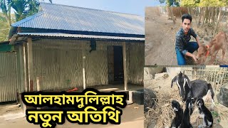 আলহামদুলিল্লাহ নতুন অতিথি আসলো // খামার বাড়ি