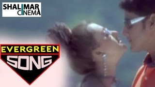 Evergreen Hit Song of The Day 09 || Haire Hai Debba Video Song || Shalimarcinema || Shlimarcinema
