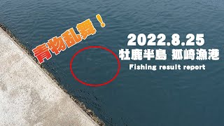 【後半戦突入】 狐崎漁港で青物狙い！まさかの邪道釣りで青物は釣れるのか？