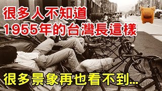 很多人不知道1955年的台灣長這樣，很多景象再也看不到...【楓牛愛世界】