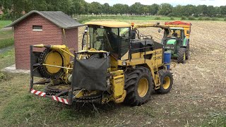 Mais hakselen met New Holland FX 450 8 rijer en 4 trekkers (2022)