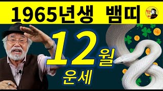 2024년 12월운세 [1965년생] #12월운세 #1965년생운세 #뱀띠운세 #이달의운세 #12월