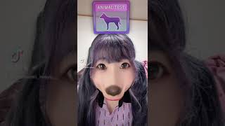 #アニマルテスト #わんちゃん #担当 #犬 #アイドル #tiktok