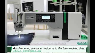 Zoje sewing machine A_8000