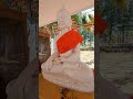 ఆదుర్రులో 2400 సంవత్సరాల పురాతన బౌద్ధ క్షేత్రం buddha buddhaquotes gautambuddha viral ambedkar