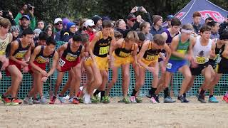 Nico Young 14:29 5k Race Highlights!