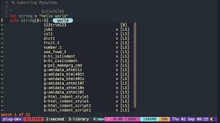 Vimscript Tutorial: String ( extract substring )