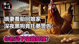 民間故事：嬌妻養胎回娘家，深夜黑狗竟托夢警告！你的兒子在雞窩裡？真相讓人不寒而慄！