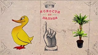 Новости из пальца #59. Обряд вуду від харківських дорожників