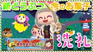 【ポケ森】新どうぶつお出迎え！きせかえパーツチェックと5000ベルクッキー集計についてのお知らせも