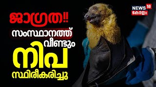 Nipah Virus In Kerala |സംസ്ഥാനത്ത് വീണ്ടും നിപ സ്ഥിരീകരിച്ചു | Nipah Virus | Veena George