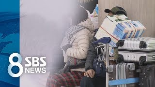 제주 한라산 80cm 넘는 대설…항공편 잇따라 결항 / SBS