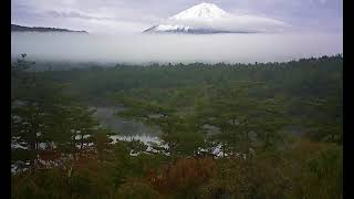 富士山ライブ動画 2020年10月の西湖タイムラプス