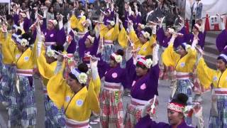 ほにや 2016土佐のおきゃく 中央公園 mususukunjp