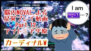 ロリ谷の日常［星と翼のパラドクス］プレイ動画12 平原カーディナルW！三皇もあるよ！