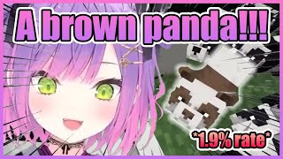 Towa’s Priceless Reaction for Getting the Super Rare Panda for Pekora!【Hololive】