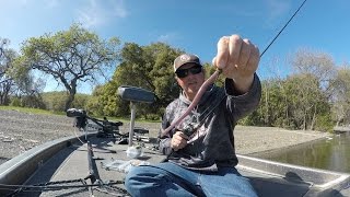 Prespawn Shaky Head Fishing