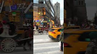 Horse Carriage at Columbus Circle 🗽Manhattan ❤️ New York #horsecarriage #travel #newyork