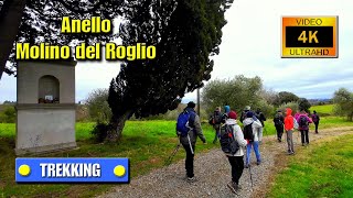 TREKKING: Forcoli - Alica - Villa Saletta - Molino del Roglio - Forcoli - di Sergio Colombini (4K)