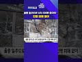 울릉 일주도로 낙석 500톤 쏟아져..인명 피해 없어 mbcnews 포항mbc 포항뉴스