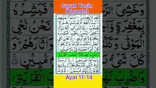 Surah Yasin (Yaseen) Ayat 11-14 🌹❤️ #shorts #trending #quran #viral