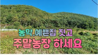 매물번호 334번 청도면 요고리 1,421m2(430평) 경치가 끝내주는 남향터#밀양부동산 #밀양토지 #밀양전원주택지 #밀양땅