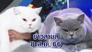 ข่าวสามสี 8 ส.ค. 66 - 'วันแมวโลก' กระตุ้นความตระหนักรู้ และช่วยเหลือพิทักษ์รักษาแมว