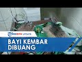 Bayi Kembar Ditemukan Dekat Tempat Sampah di Kotawaringin Timur, Tali Pusar Masih Menempel