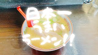 【ラーメン、こんなの初めて！】マジで日本一うまいラーメン‼️ 一輝亭（大分県宇佐市）見た目はクリーミー豚骨、実際はシチュー豚骨ラーメン　なぜか地元テレビも紹介しない#大分グルメ#大分ラーメン#宇佐市