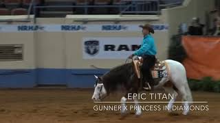 Epic Titan - Andrea Fappani - NRHA DERBY 2019 Open Go Round - Score 221