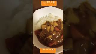 今日は肉なしカレーにしました🍛