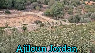 Jordan Ajloun | ജോർദാൻ അജ്ലോനിലെ ഫാം കാണാം