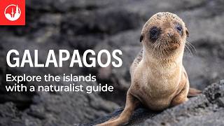 Experience the Galapagos Islands with Intrepid Travel