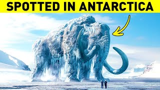 Frozen Mammoth FOUND in Antarctica?! What REALLY Happened?