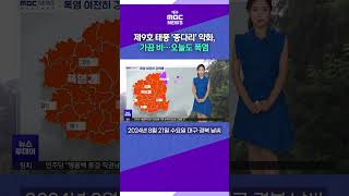 제9호 태풍 ‘종다리’ 약화, 가끔 비…오늘도 폭염(2024.08.21날씨) #대구MBC