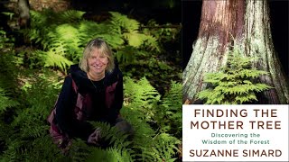Suzanne Simard ~ Finding the Mother Tree: Forest Wisdom
