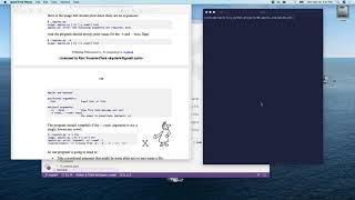 Tiny Python Projects Ch 8: Apples and Bananas Intro