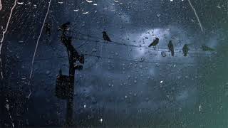 Birds Eye View In The Rain | Gentle Rain Sounds On Window Dark Screen | Gentle Rain For Sleep 9 Hour