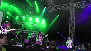 Tricot@Pohoda festival 2014 HD